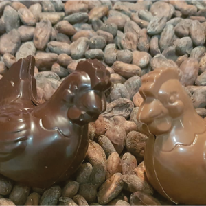 poules solidaires en chocolat